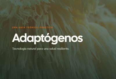 Portada del ebook de adaptógenos