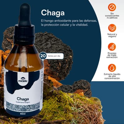 Chaga Micelic