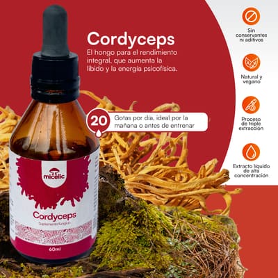 Cordyceps Micelic